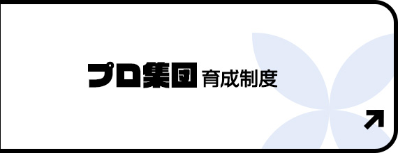 bnrhalf_pro_off
